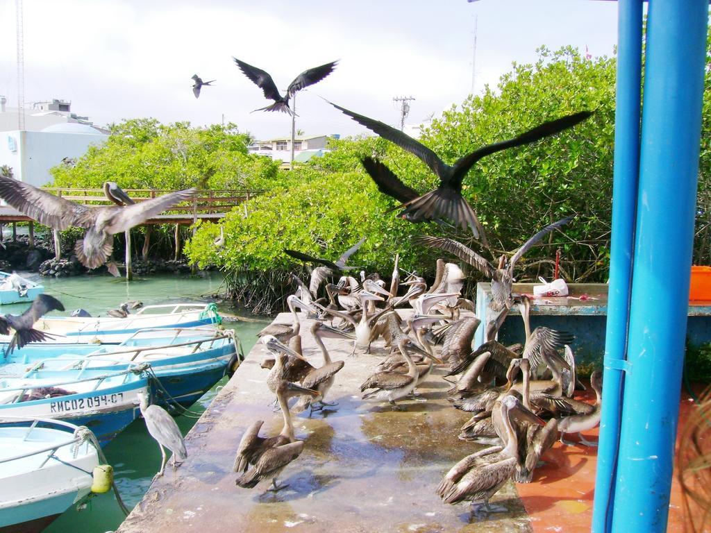 Hotel Pelican Bay Puerto Ayora  Luaran gambar